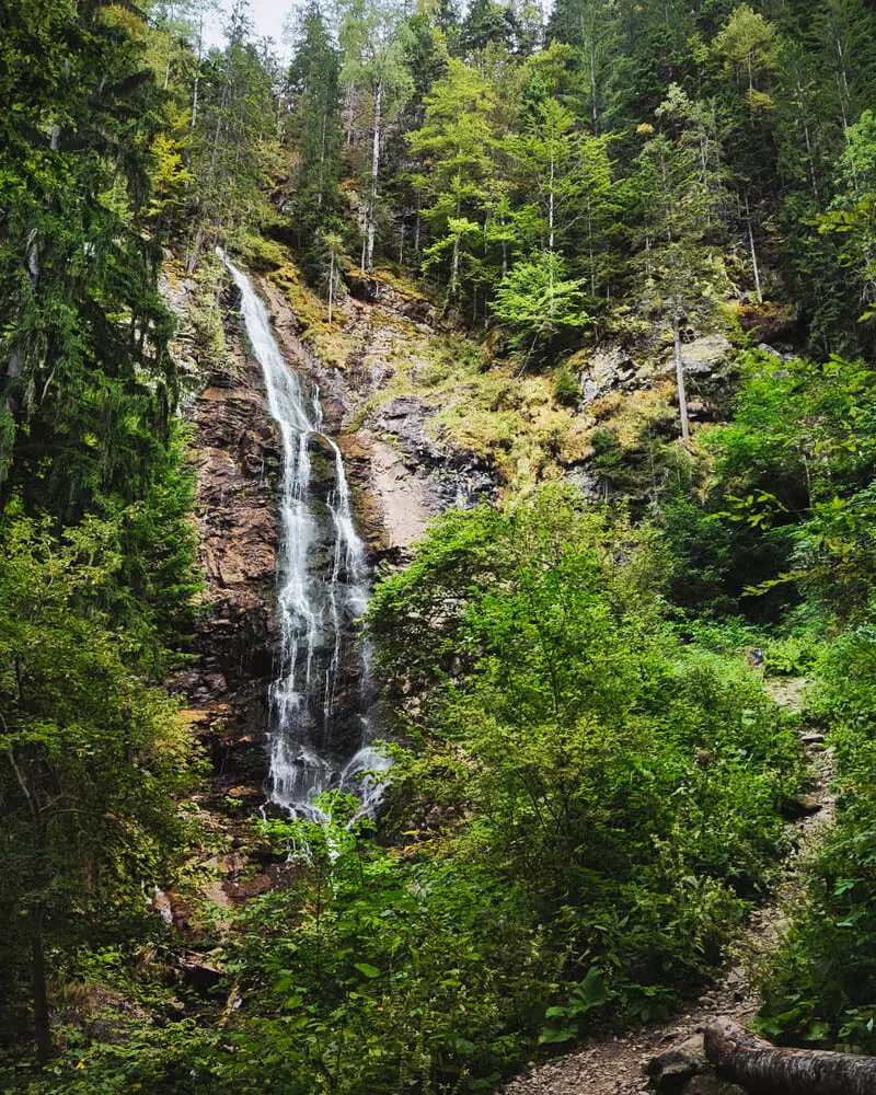 Cascada Scorus din zona Malaia, inconjurata de padure